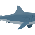 SG电子8K超清版-SG电子最新正版APP安装包安卓苹果手机版